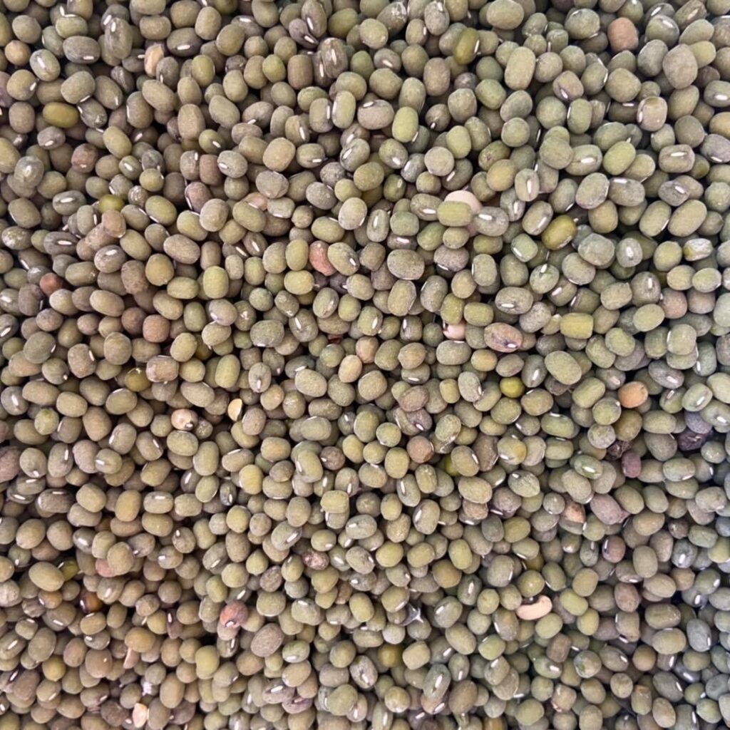 164406230 301616054713618 8475027799665389080 n